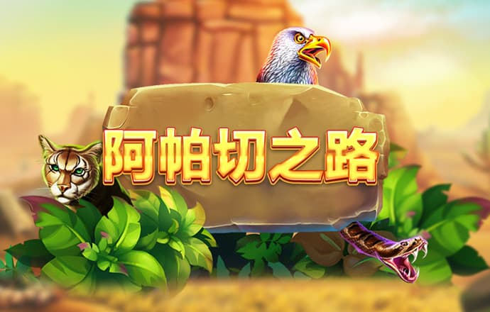 bck体育官网app网站